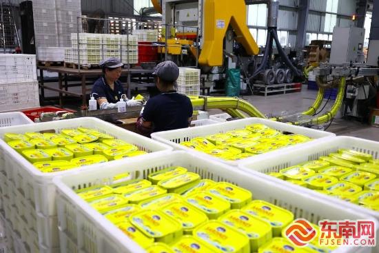 漳州高新区：车间机声隆隆不负春光复工忙(图4)