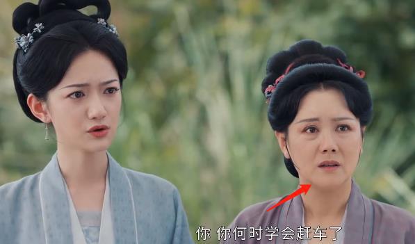 当“硅胶脸”混进《惜花芷》撞上天然脸演员简直是降维打击(图24)