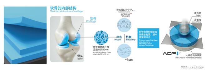 深圳国际新材料展：林至科技揭秘ACF新减振降噪黑科技(图6)