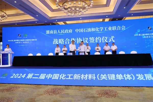 2024第二届中国化工新材料（关键单体）发展大会在江苏灌南召开(图1)
