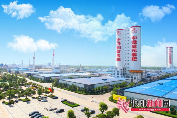 “化”丽蝶变——临沂市持续推进化工产业转型升级积蓄澎湃动能(图1)