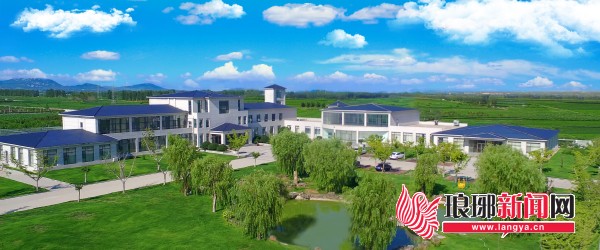 “化”丽蝶变——临沂市持续推进化工产业转型升级积蓄澎湃动能(图2)