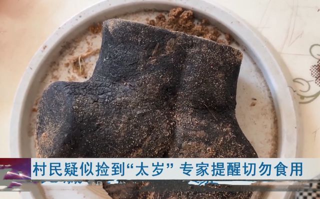 湖北一大爷捡到怪东西他怀疑是捡到太岁有人却觉得是硅胶(图1)