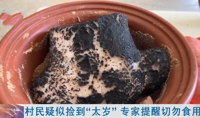 湖北一大爷捡到怪东西他怀疑是捡到太岁有人却觉得是硅胶(图4)