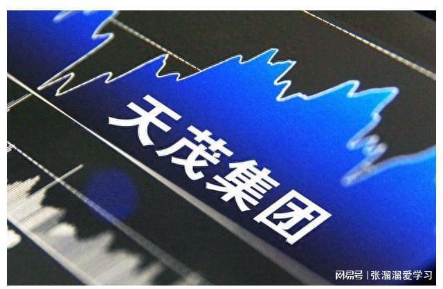 天茂集团：医药化工的巨擘未来增长的潜力股(图2)