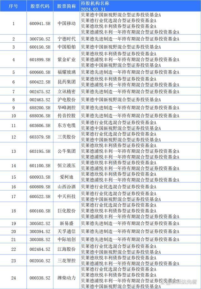 贝莱德集团深度掌控中国优质资产又称黑岩集团的犹太资本(图3)
