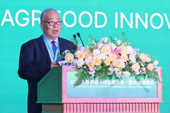 2024WAFI“膳食纤维分会”全球学者共话科技创新成果丰硕(图2)