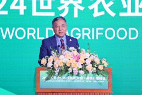 2024WAFI“膳食纤维分会”全球学者共话科技创新成果丰硕(图1)