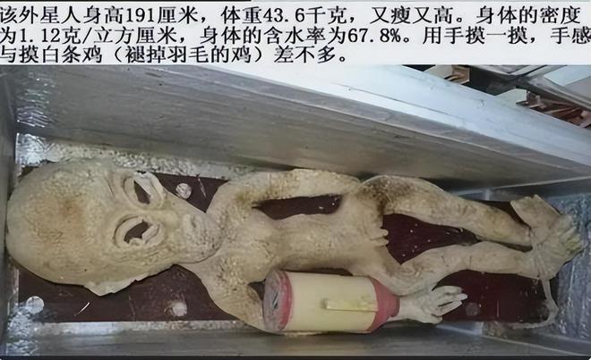 2013年山东男子电死外星人将其放在冰箱真相揭晓后众人傻眼(图7)