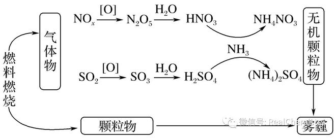 如何提升选择题解题策略及审题能力(图8)