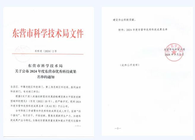 耐斯特炭黑NC8515荣获东营市二等优秀科技成果(图1)