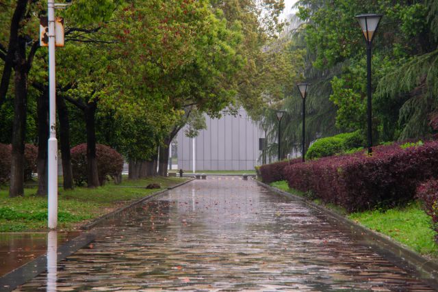 武汉工程大学什么专业好？教授、副教授100%授课这个专业很不错(图3)