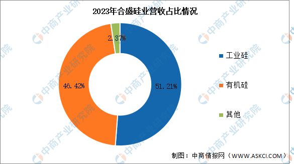 2024年中国有机硅行业市场前景预测研究报告（简版）(图8)