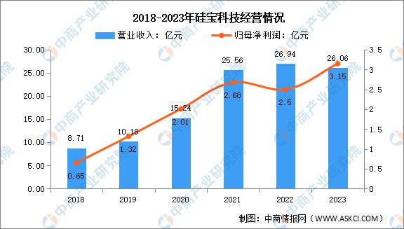 2024年中国有机硅行业市场前景预测研究报告（简版）(图13)