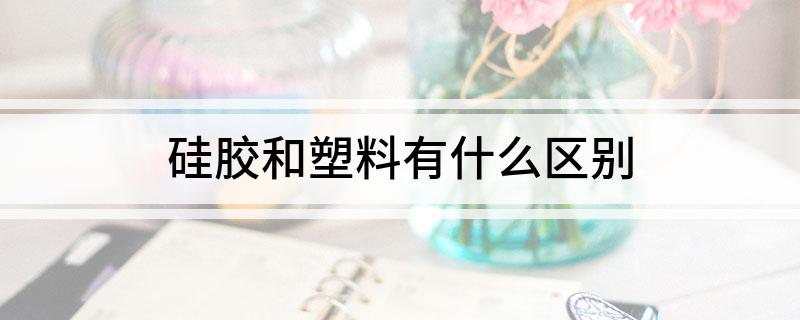 硅胶和塑料有什么区别(图1)