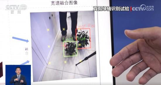 新型摄像元件“火眼金睛”可实时分辨真伪(图2)