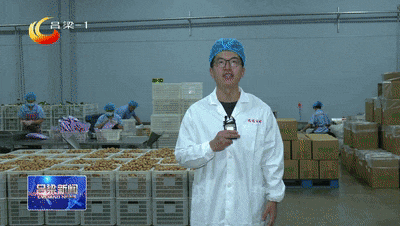 汾阳：小核桃种出“金链条”(图1)
