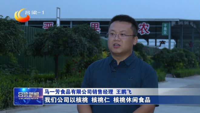 汾阳：小核桃种出“金链条”(图5)