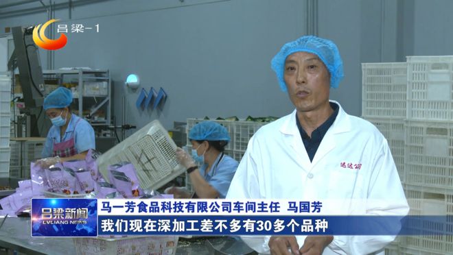 汾阳：小核桃种出“金链条”(图4)