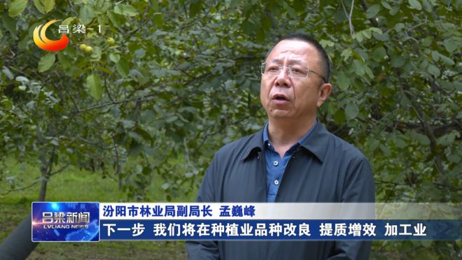 汾阳：小核桃种出“金链条”(图9)