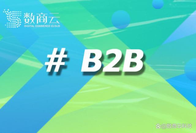 企业间的桥梁：全面解读B2B平台的商业模式及其优势｜数商云(图1)
