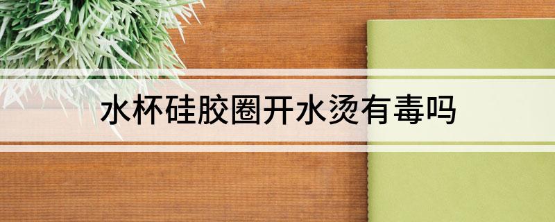 水杯硅胶圈开水烫有毒吗(图1)