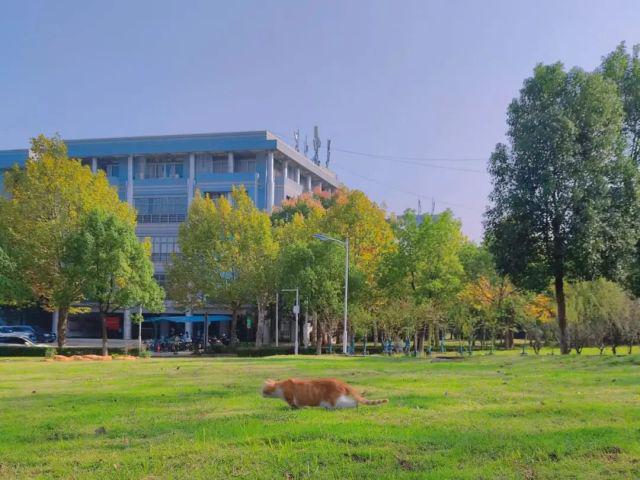 武汉工程大学什么专业好？就业率96%这个专业前景广阔！(图1)