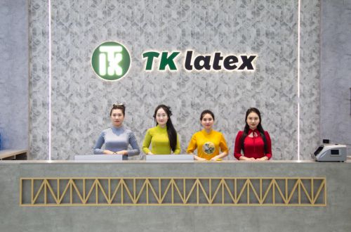 越南乳胶企业TKlatex拉动越南乳胶产业的发展腾飞(图1)