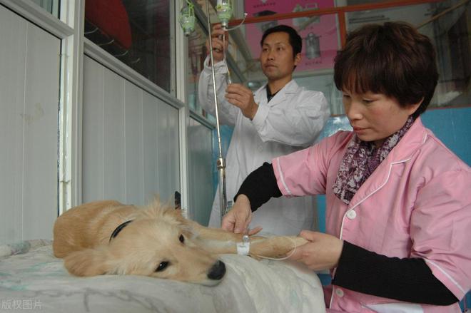 这八大专业考研前普普通通；考研后薪资倍增为什么呢？(图6)