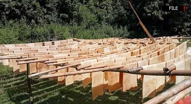 缅甸央行再出售外币；缅甸计划对外出口320000多吨橡胶(图4)