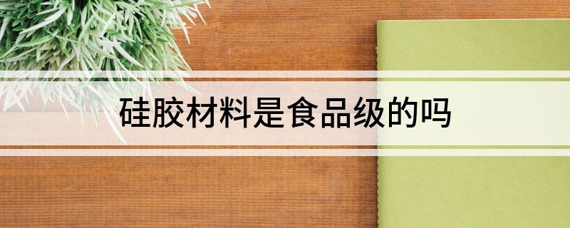 硅胶材料是食品级的吗(图1)