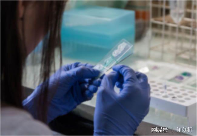 橡胶产品材料化学物质成分配方分析检测含量还原(图2)