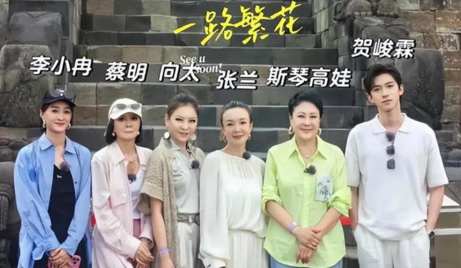 6大整容女星“车祸现场”个个硅胶乱飞你认为哪位反差较大？(图2)