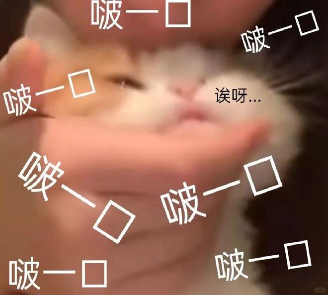 叮！你有三座奖杯请查收！(图2)