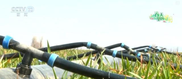 “慧”耕“慧”种绘就别样“春耕图”农业生产提质增效双丰收(图7)