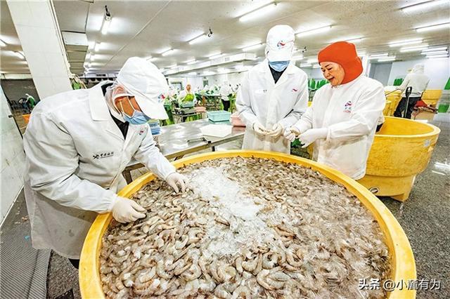 汕头海关赋能牛田洋水产养殖高质量发展(图1)