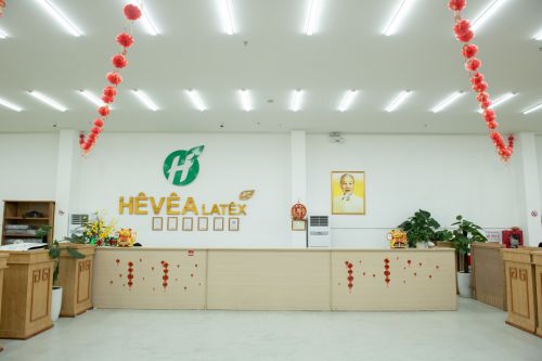 越南三大国企之一Hevea乳胶工厂医用级乳胶制品畅销全球各国！(图2)