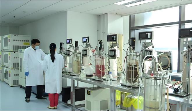 叔丁醇钠的化学原料用途、属性、应用场景、存储与运输及行业分析(图3)