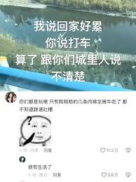 算了和你们城里人说不清楚梗啥意思(图1)