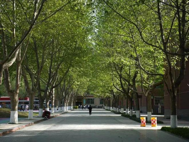 就业率超97%毕业入职世界500强在西京学院阅读你的化学人生！(图7)