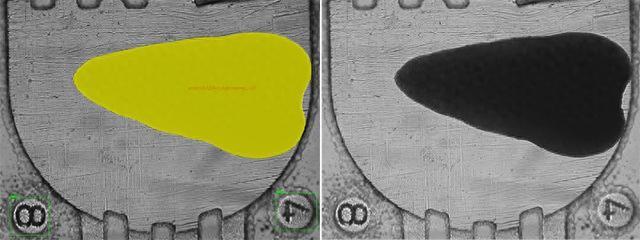 涡虫、斑马鱼状态良好!神舟二十号科学实验完成样品转运安装并启动实验(图1)