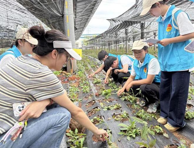 暑期三下乡绿材科技赋能乡村振兴青春力量书写绿色答卷(图3)