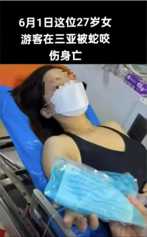 27岁女孩三亚被毒蛇咬身亡好友道出更多细节救助博主涨粉百万(图6)