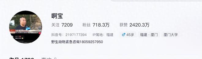 27岁女孩三亚被毒蛇咬身亡好友道出更多细节救助博主涨粉百万(图1)