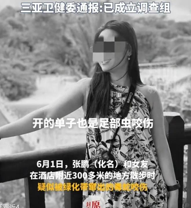 27岁女孩三亚被毒蛇咬身亡好友道出更多细节救助博主涨粉百万(图2)