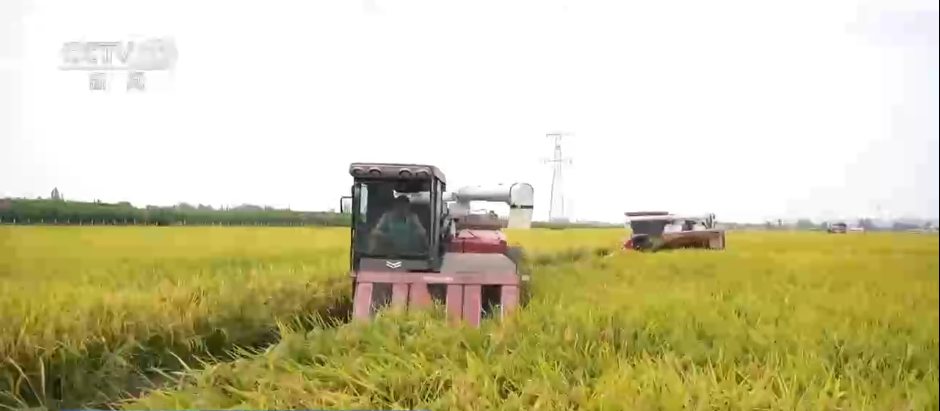 巡检机器人、无人化工厂……解锁农业“智”管新范式科技赋能好“丰”景(图1)