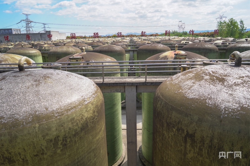 高质量发展看中国｜一江清水映“绿”生“金”(图2)