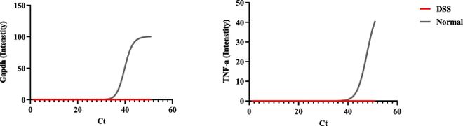 APPS优化TRIzol-硅胶柱法提取DSS结肠炎模型RNA：解决PCR抑制问题(图1)