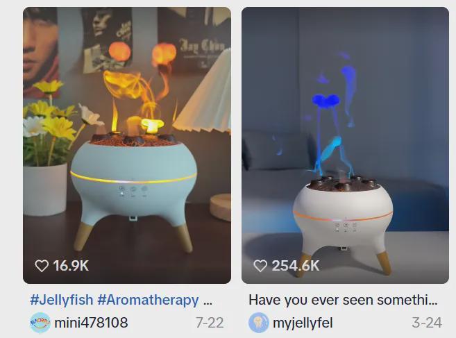 喜运达资讯：GMV暴涨91%谁在TikTokSh(图7)