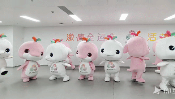 断货！限购！又一“顶流”出现了(图9)